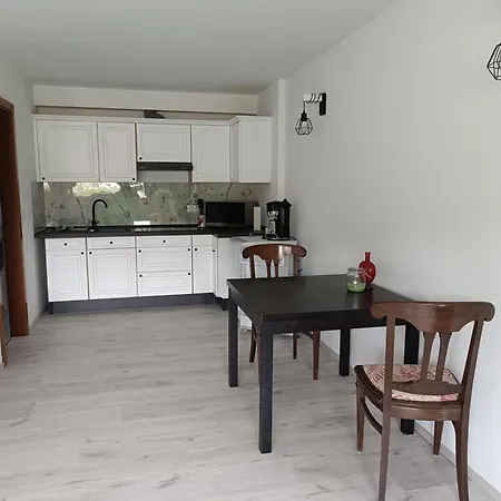 Apartment Mit Rheinblick Oberdiebach Exterior photo