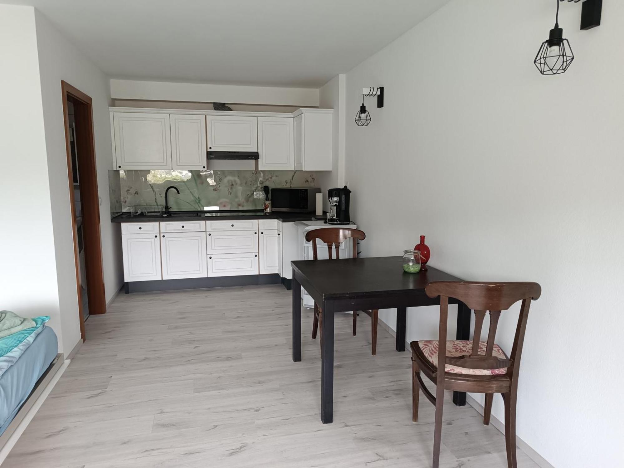 Apartment Mit Rheinblick *