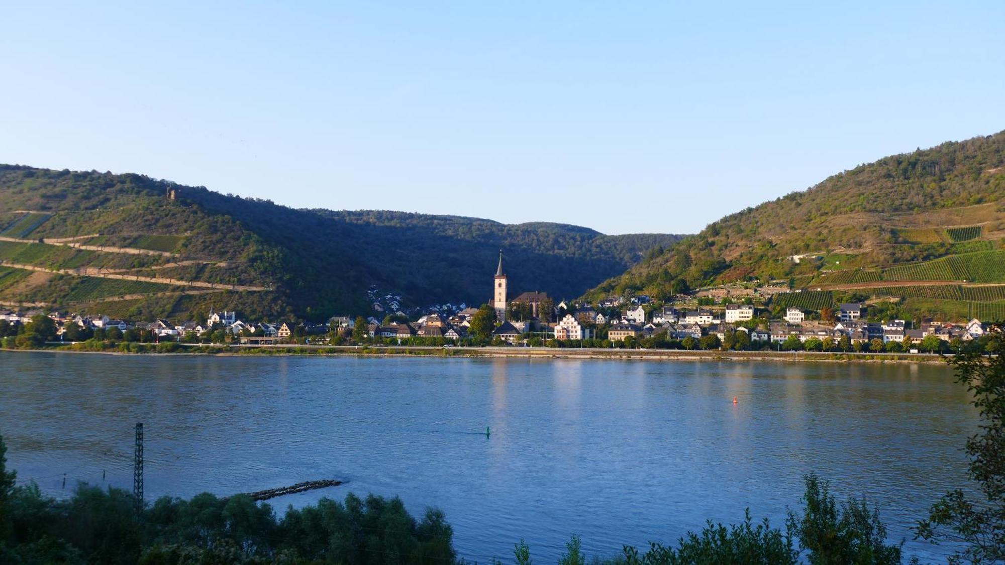 Mit Rheinblick Apartment *